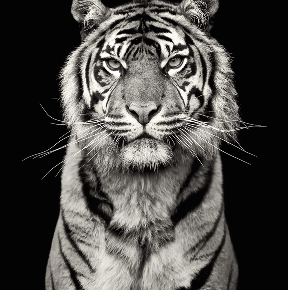 scott_schuler